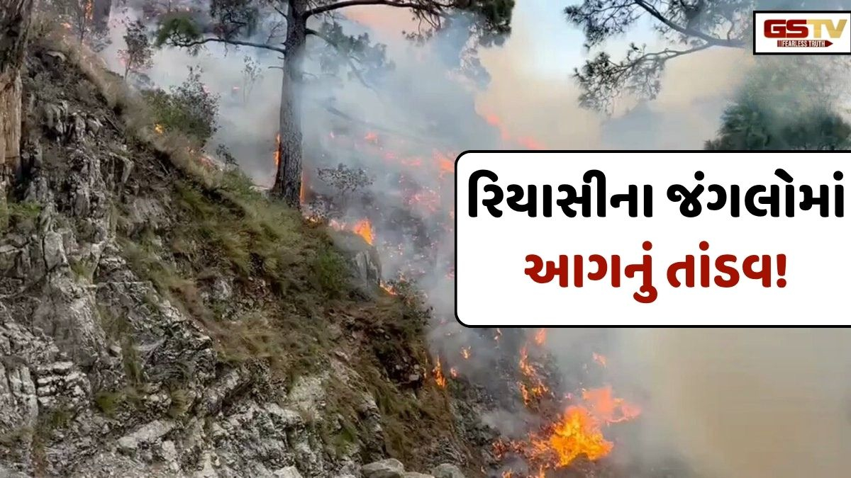 VIDEO: ANDAR NI VAAT/ જમ્મુ-કાશ્મીરના સલાલ ડેમ નજીક જંગલમાં ભીષણ આગ, સુરક્ષા એજન્સીઓ એલર્ટ!