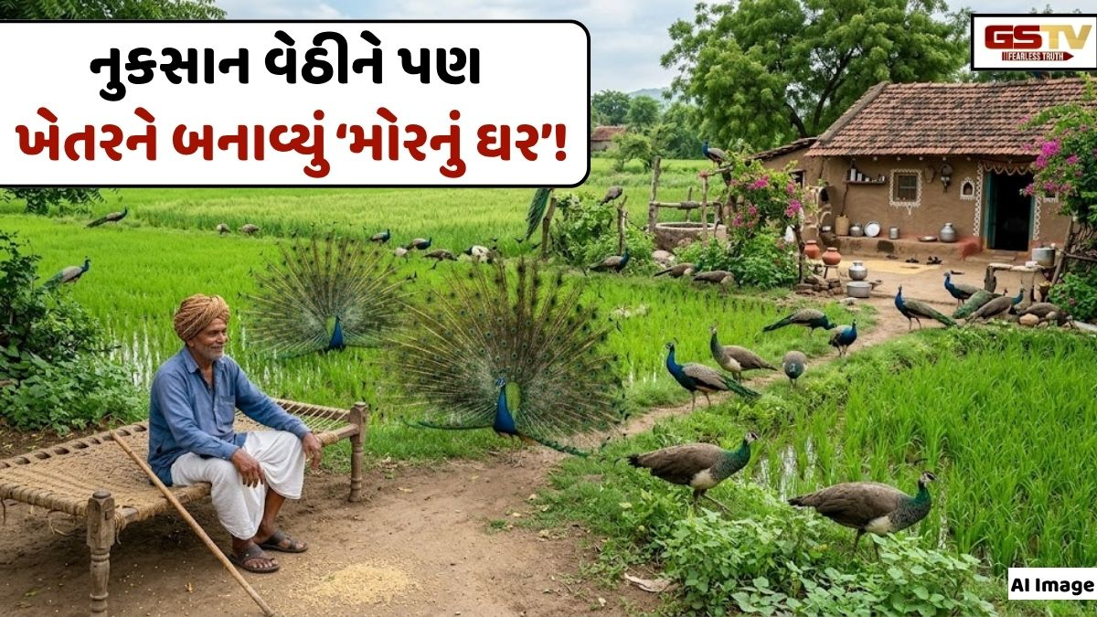 VIDEO: ANDAR NI VAAT/ તમિલનાડુના આ ખેડૂતે મોર માટે પોતાની આખી ખેતી કરી દીધી સમર્પિત!