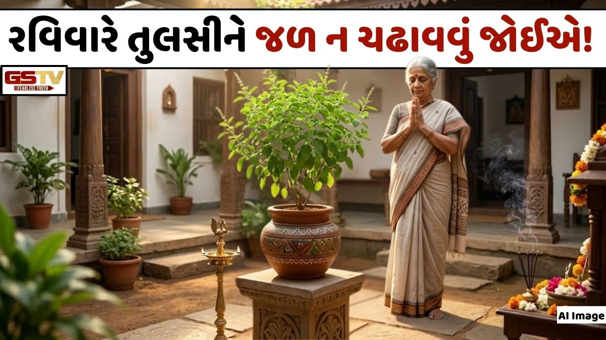 Religion: રવિવારે અને એકાદશીએ તુલસીને પાણી ન ચઢાવવું જોઈએ, જાણો શું છે આનું મુખ્ય કારણ!