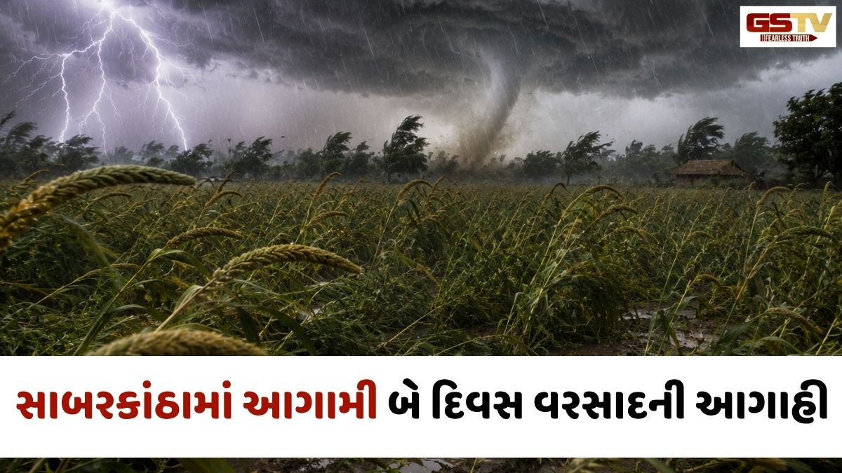 VIDEO:  Sabarkanthaમાં વાવાઝોડા સાથે મેઘરાજાની એન્ટ્રી; પવન સાથે વરસાદ વરસતા ઉભા પાકને નુકસાન થવાની આશંકા