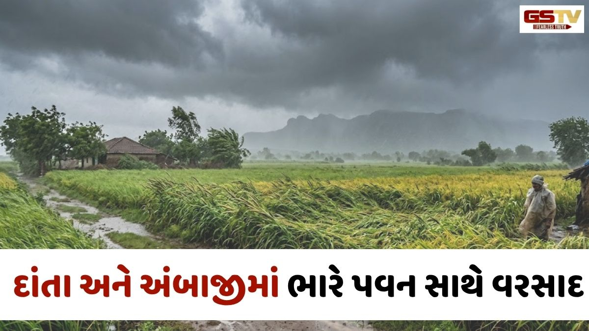 VIDEO/ Banaskantha: દાંતા-અંબાજી પંથકમાં ભારે પવન સાથે વરસાદ, તૈયાર પાકને નુકસાનની ભીતિથી ખેડૂતો ચિંતિત