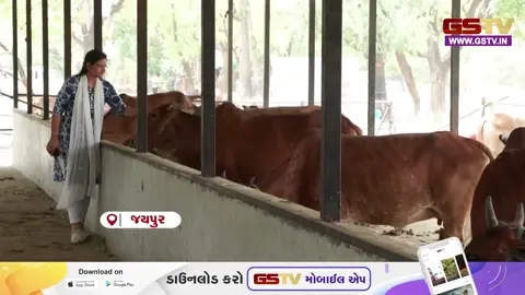 VIDEO: ANDAR NI VAAT/ જયપુરમાં બનાવાઈ હાઇ-ટેક ગૌશાળા, ફોગ કૂલિંગ સિસ્ટમથી ગૌમાતાને અપાશે ગરમીમાં રાહત