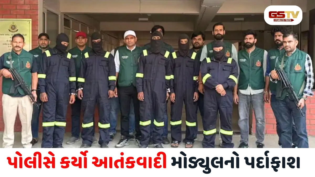 VIDEO: કરાચીમાં કાવતરું રચાયું: દિલ્હી અને મુંબઈ સહિત 5 શહેરો હતા આતંકીઓના નિશાના પર
