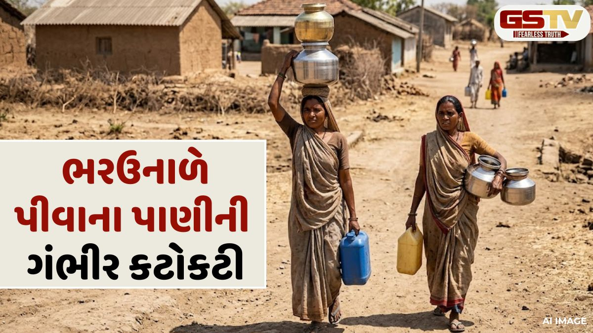 VIDEO: નળ તો ફિટ કરાયા પણ તેમાં પાણી જ નથી, નવાલજાના ગ્રામજનોને પીવાલાયક પાણી ન મળતા તંત્ર સામે ભારે આક્રોશ