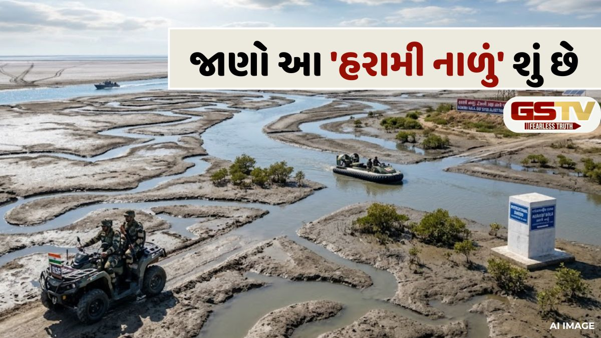 ભારત-પાકિસ્તાન સરહદનો સૌથી સંવેદનશીલ ગણાતો વિસ્તાર એટલે 'હરામી નાળું', જાણો તેનું આવું નામ કેમ પડ્યું