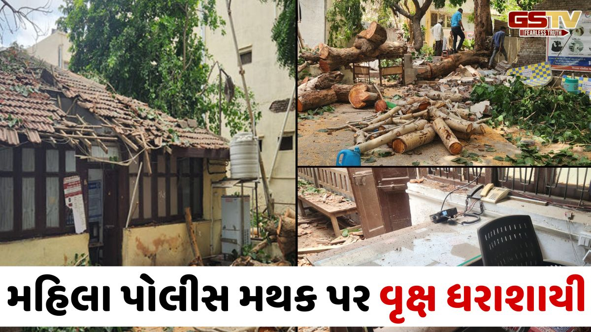 Jamnagarમાં ભારે પવનના કારણે મહાકાય વૃક્ષ પડતા મહિલા પોલીસ મથક બન્યુ ખંડેર, સરકારી સામાનને નુકસાન