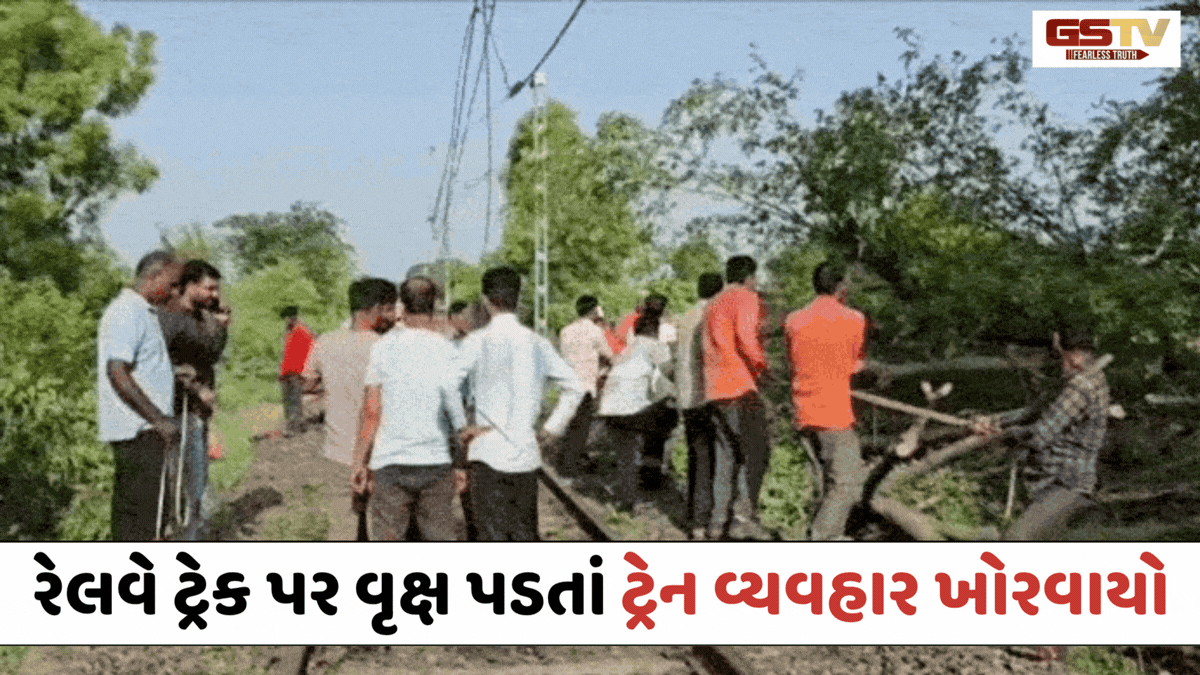 Chhota Udaipur: બોડેલીમાં વાવાઝોડા સાથે ધોધમાર વરસાદ; રેલવે ટ્રેક પર વૃક્ષ પડતાં વીજ લાઈન તૂટી, ટ્રેન વ્યવહાર ખોરવાયો