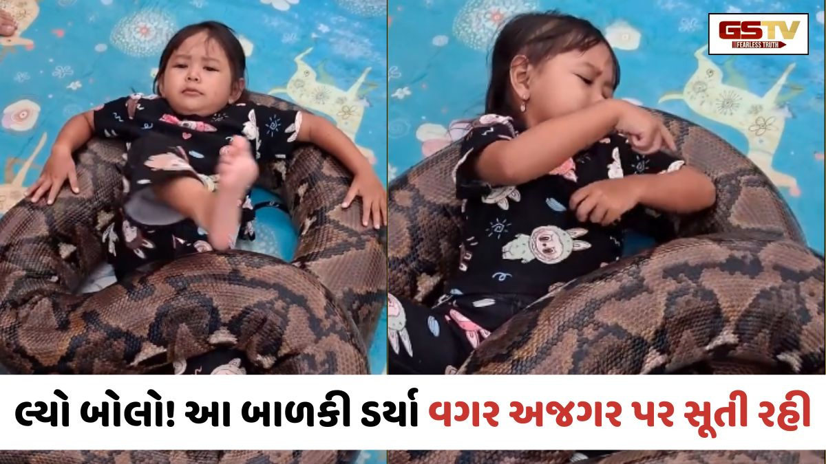 VIRAL VIDEO: ડર્યા વગર અજગર પર સૂતી રહી બાળકી, ઘરના લોકો બનાવતા રહ્યા વીડિયો; દ્રશ્યો જોઈ લોકો ભડક્યા!