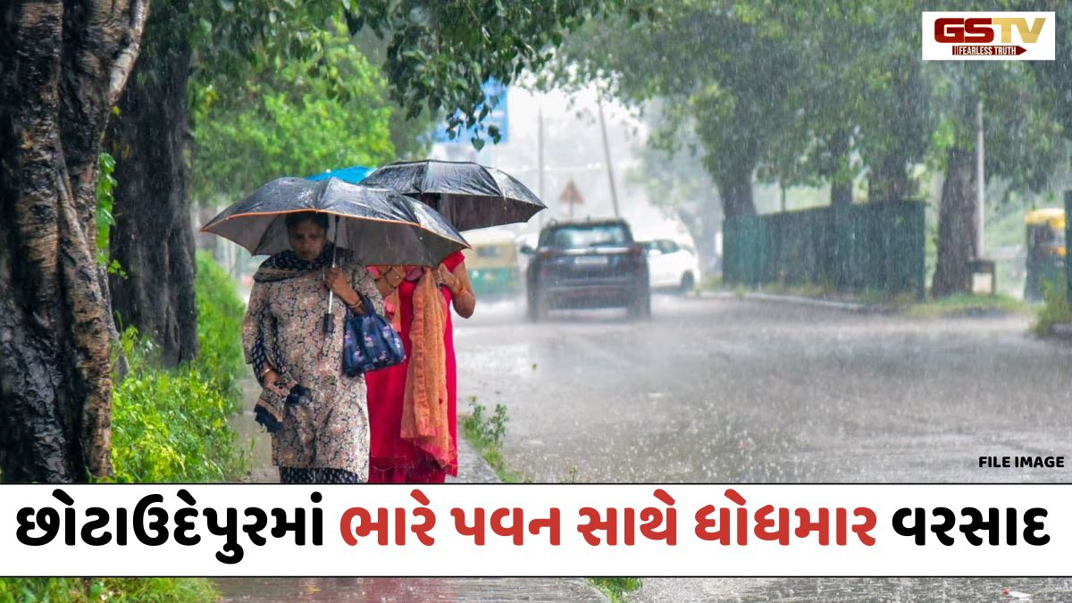 VIDEO: Chhota Udaipurમાં હવામાનમાં અચાનક પલટો; ભારે પવન સાથે ધોધમાર વરસાદ