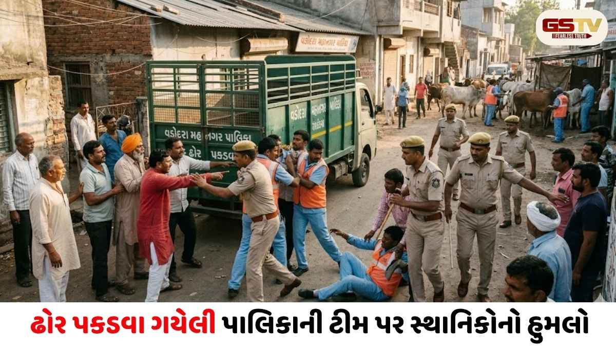 VIDEO/ Vadodara: કિશનવાડીમાં ઢોર પકડવા ગયેલી પાલિકાની ટીમ પર સ્થાનિકોનો હુમલો