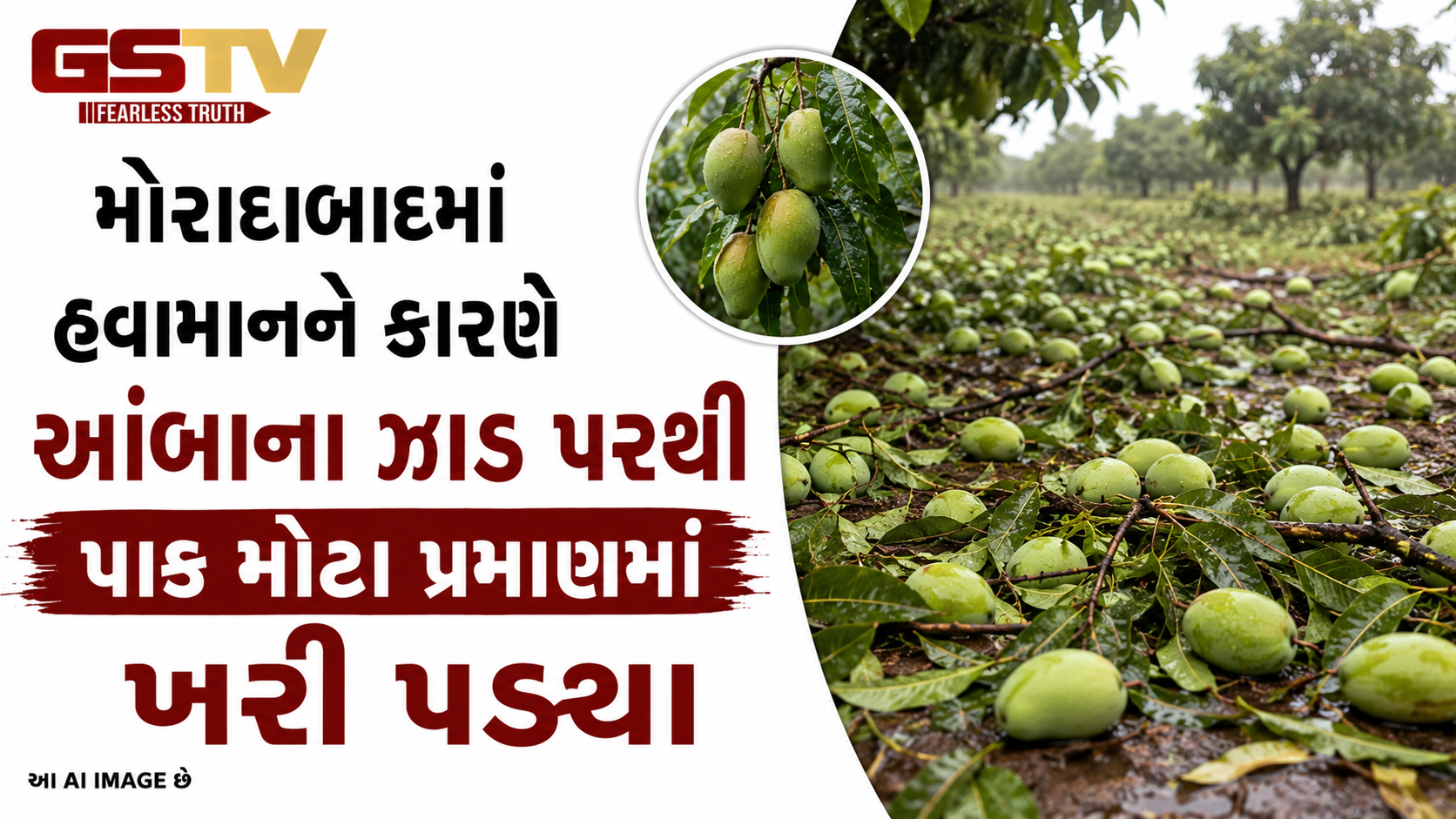 VIDEO: મોરાદાબાદમાં હવામાનને કારણે આંબાના ઝાડ પરથી પાક મોટા પ્રમાણમાં ખરી પડ્યા