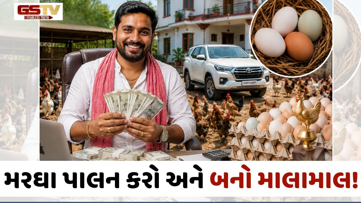 નોકરી છોડો, મરઘા પાલન શરૂ કરો! આ દેશી મરઘીના એક ઈંડાની કિંમત જાણી ચોંકી જશો
