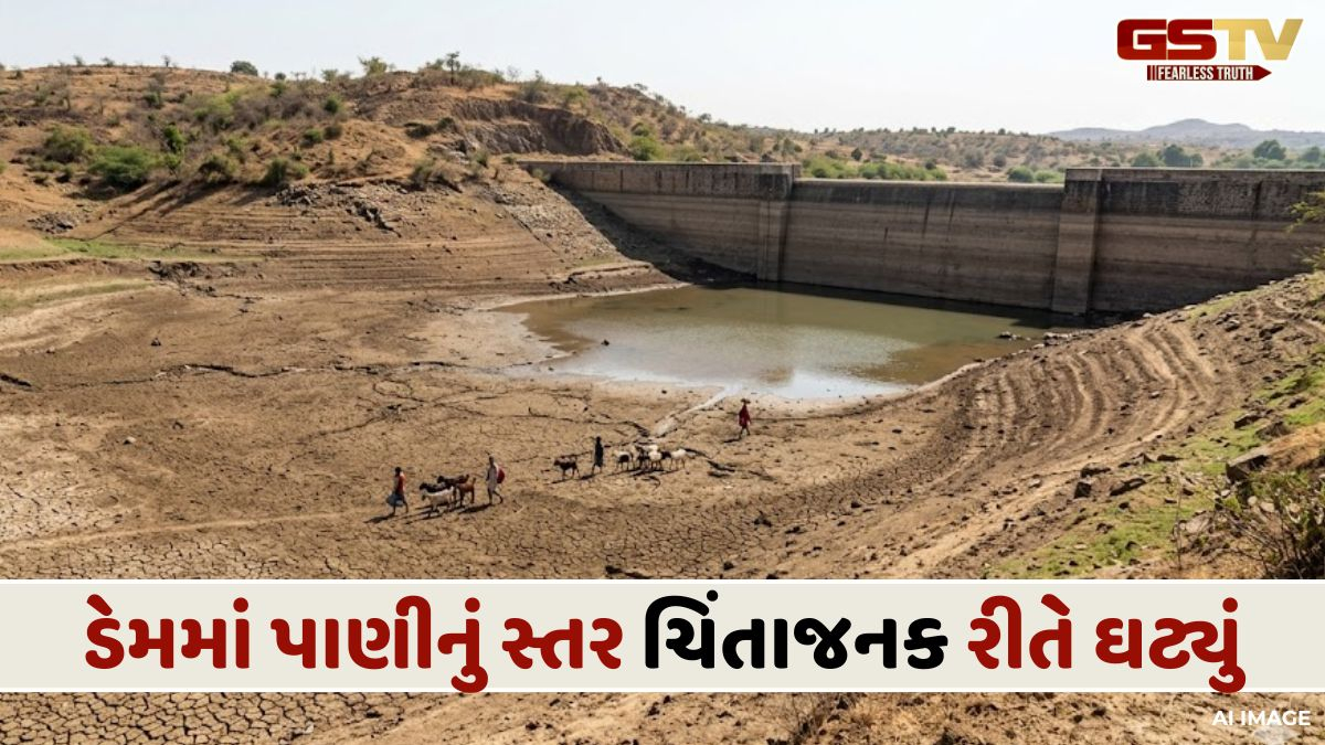 VIDEO: ભાખરવડ ડેમમાં પાણીની અછત, માત્ર 10 ટકા જેટલો જ જથ્થો ઉપલબ્ધ