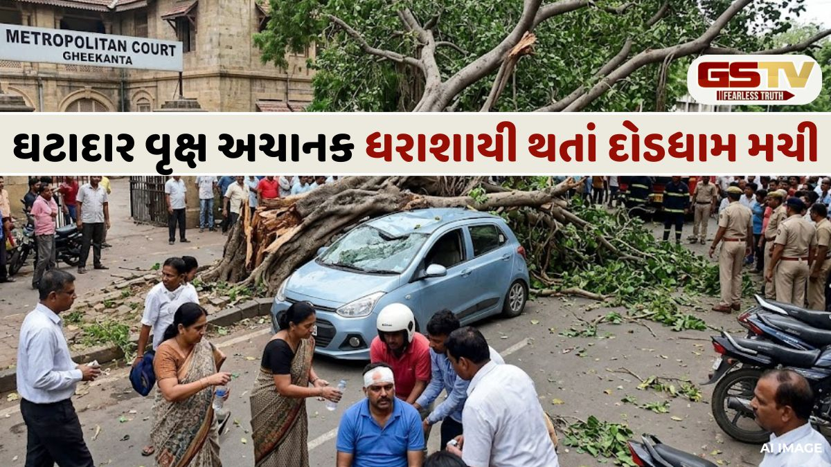 VIDEO: અમદાવાદના ઘીકાંટા વિસ્તારમાં વૃક્ષ ધરાશાયી, એકત્ર થયા લોકોના ટોળેટોળા
