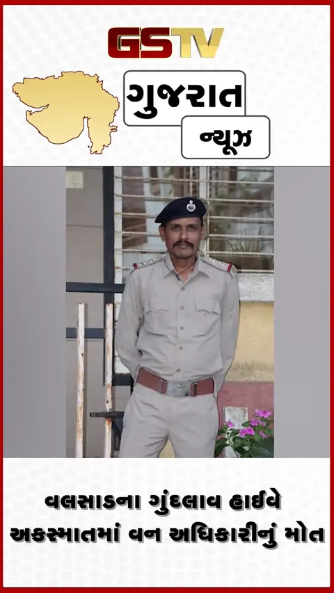 VIDEO: વલસાડના ગુંદલાવ હાઈવે અકસ્માતમાં વન અધિકારીનું મોત, વીજ થાંભલા સાથે અથડાઈ હતી કાર