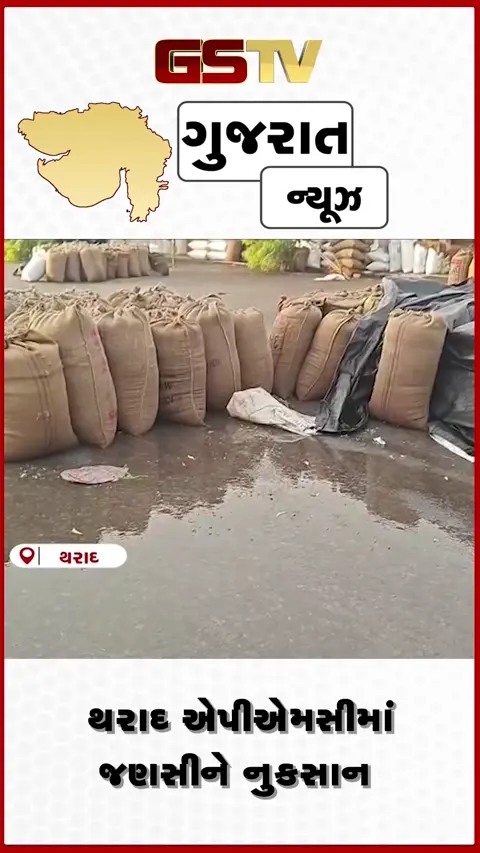 VIDEO: વાવ-થરાદ જિલ્લામાં વરસાદ પડતા પાણી ભરાયા, APMCમાં જણસી પલળતા વેપારીઓને નુકસાન