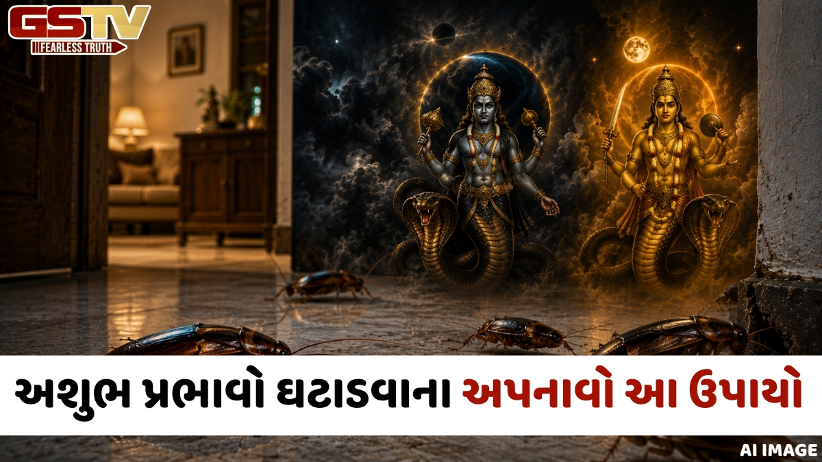 જો તમે તમારા ઘરમાં વંદા ફરતા જુઓ છો, તો સાવધાન રહો; તે રાહુ અને કેતુ સાથે છે સંબંધિત