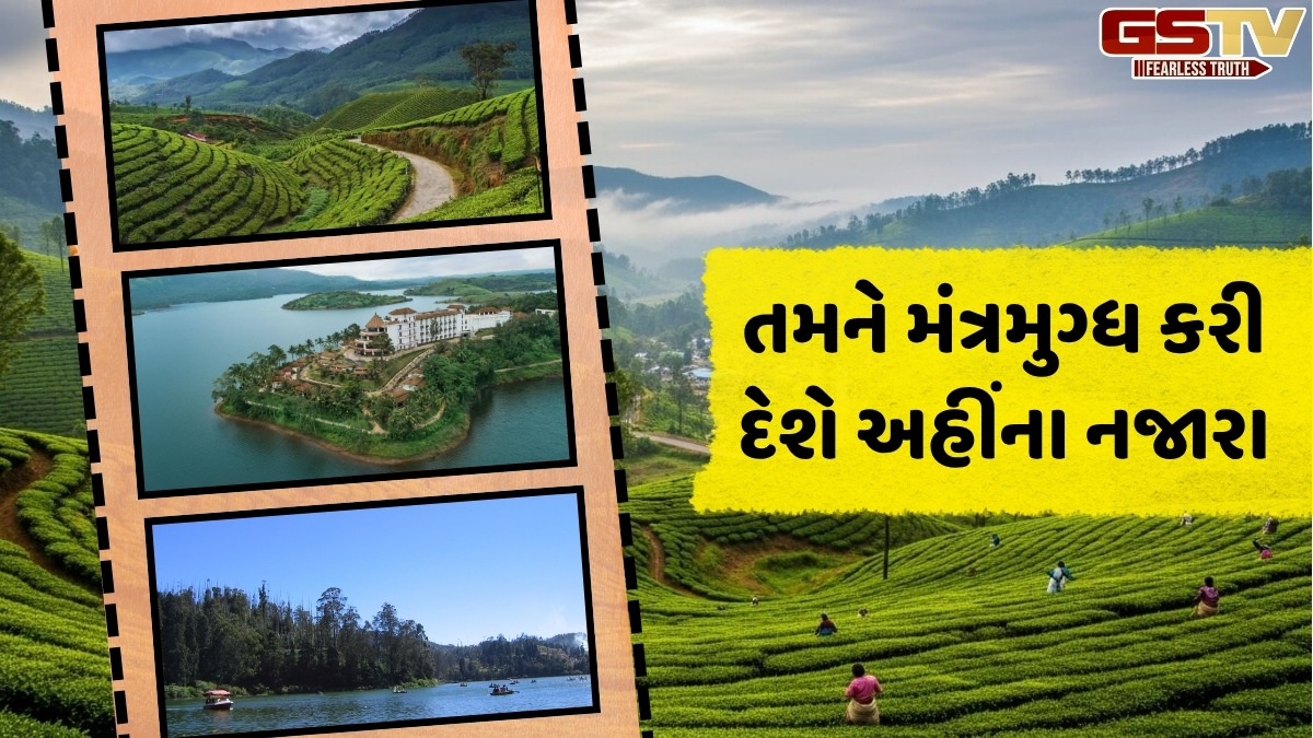 VIDEO: ચોમાસાની ઋતુમાં સ્વર્ગ બની જાય છે દક્ષિણ ભારતના આ સ્થળો, અત્યારથી કરી લો ફરવાનું પ્લાનિંગ