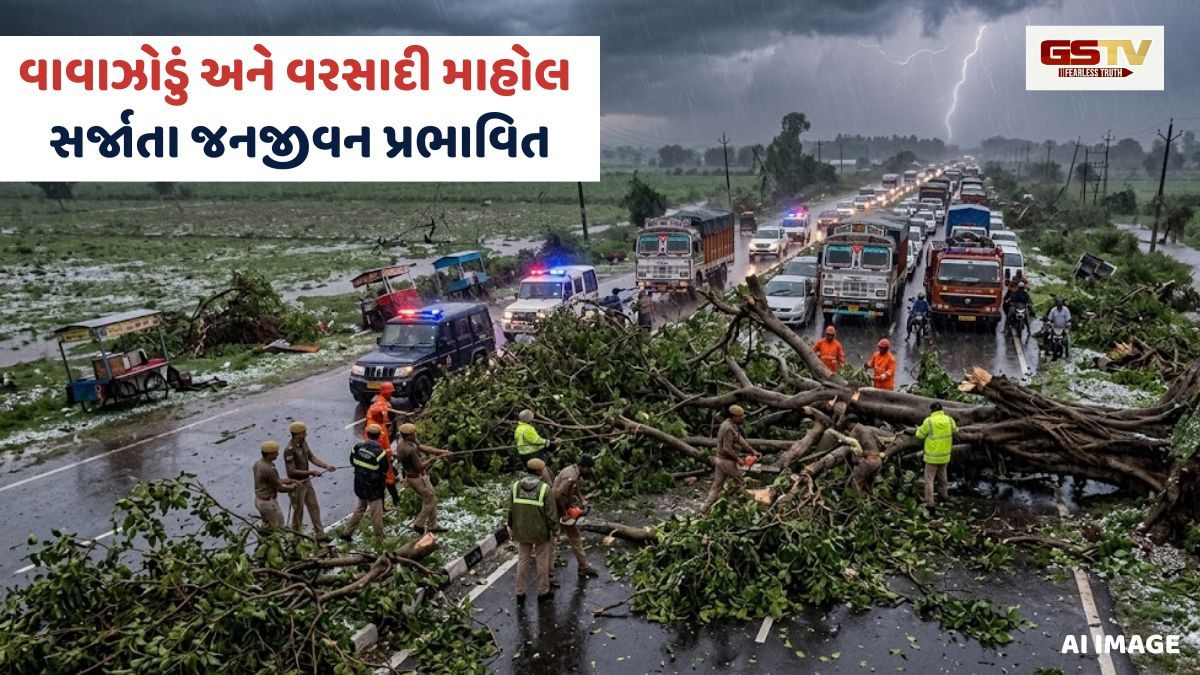 VIDEO: Aravalliમાં ભારે વાવાઝોડા સાથે કરા પડ્યા, વૃક્ષો ધરાશાયી થતાં જનજીવન ખોરવાયું