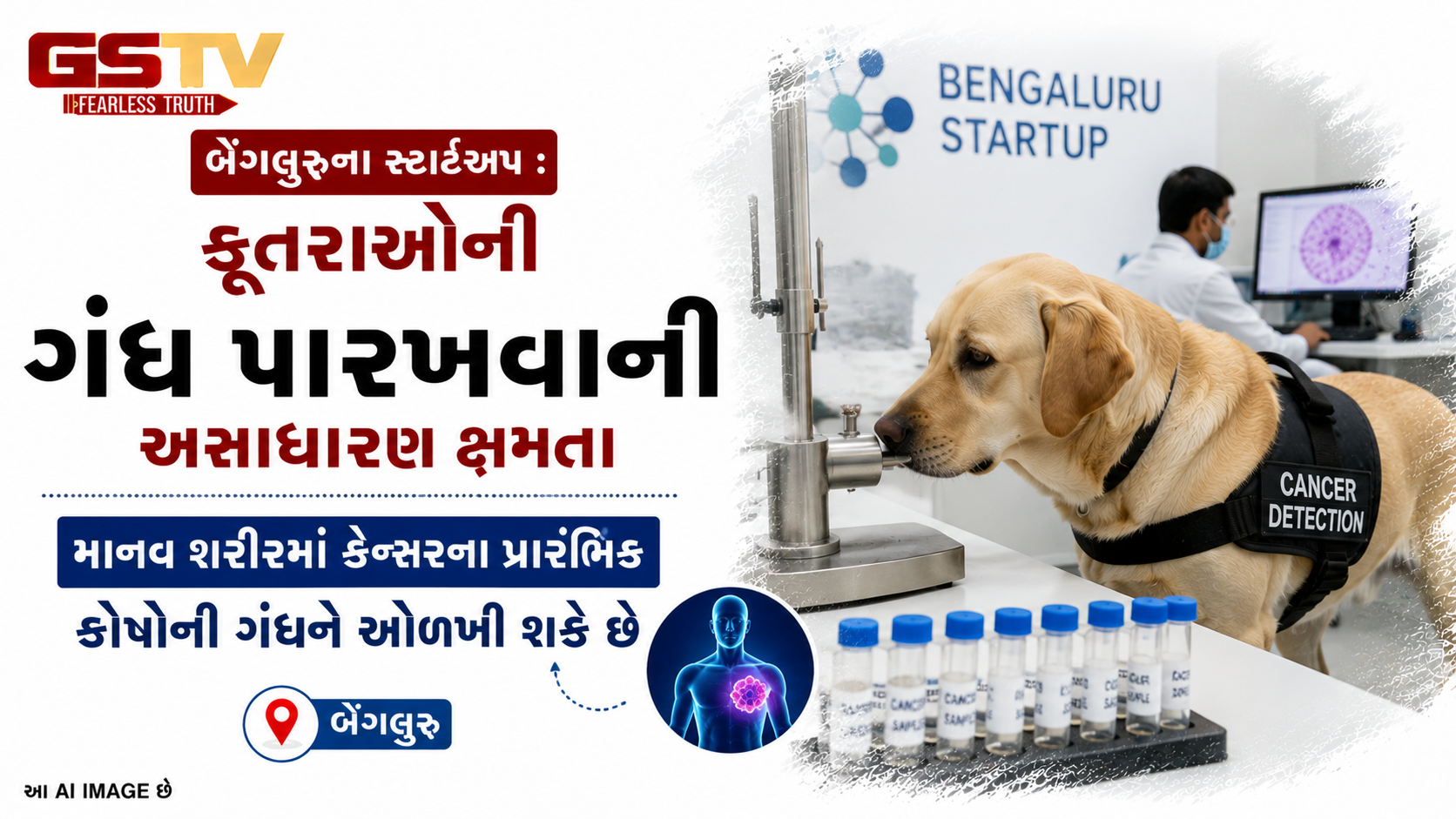 VIDEO: બેંગલુરુના સ્ટાર્ટઅપ : કૂતરાઓની ગંધ પારખવાની અસાધારણ ક્ષમતા માનવ શરીરમાં કેન્સરના પ્રારંભિક કોષોની ગંધને ઓળખી શકે છે.