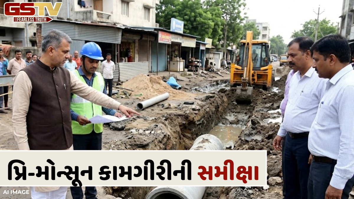 VIDEO: વડોદરા શહેરમાં ચોમાસા પૂર્વે ચાલી રહેલી પ્રિ-મોન્સૂન કામગીરીની થઈ સમીક્ષા