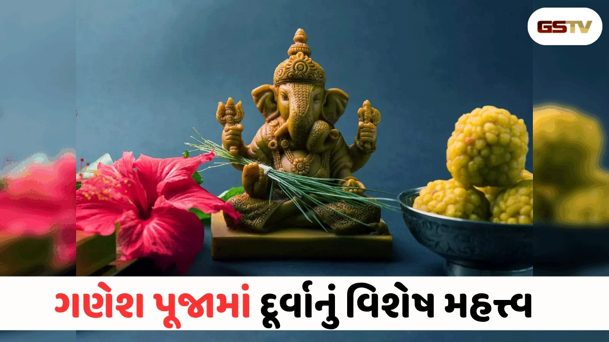 VIDEO : Religion/  આખરે ભગવાન ગણેશને દૂર્વા કેમ ચઢાવવામાં આવે છે? જાણો આ પાછળની પૌરાણિક કથા