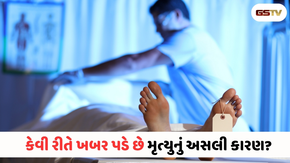 Health News : શરીરના નાનામાં નાના નિશાન પણ ખોલે છે મોટા રાઝ! જાણો પોલીસ તપાસમાં કેમ મહત્વનો છે પોસ્ટમોર્ટમ રિપોર્ટ