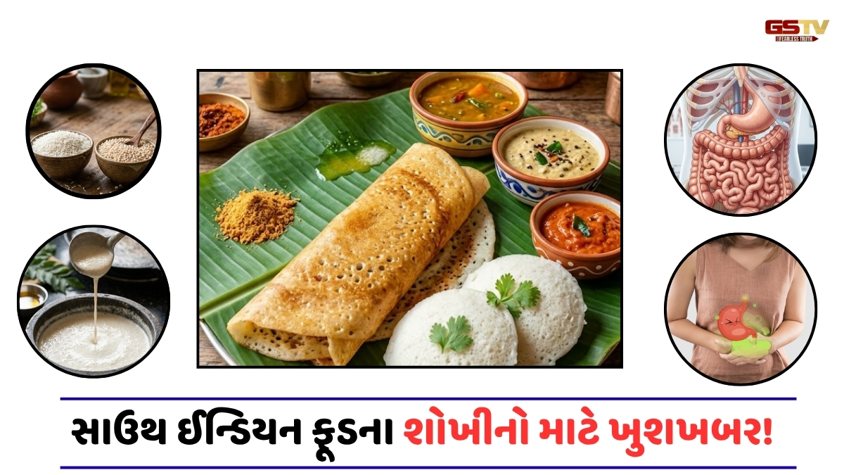 VIDEO/ Health Tips:ઈડલી-ઢોસા સ્વાસ્થ્ય માટે કેમ માનવામાં આવે છે સુપરફૂડ? જાણો આ 5 મોટા ફાયદા