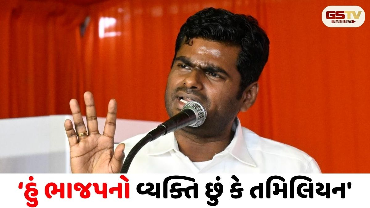 VIDEO/ 'ભાજપના નેતાઓ સાથે મારા વિચારો મેળ નથી ખાતા', પ્રેસ કોન્ફરન્સમાં અન્નામલાઈની સ્પષ્ટતા