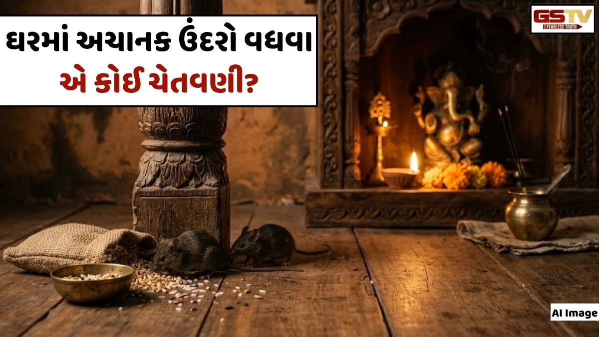 Religion: શું ઘરમાં અચાનક ઉંદરોનો વધારો માત્ર એક સંયોગ છે કે તેની પાછળ કોઈ છુપાયેલો અર્થ છે?