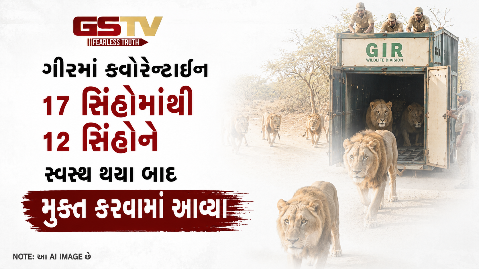 VIDEO: ગીરમાં ક્વોરેન્ટાઈન 17 સિંહોમાંથી 12 સિંહોને સ્વસ્થ થયા બાદ મુક્ત કરવામાં આવ્યા