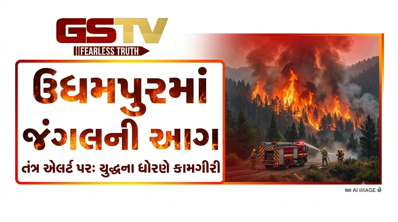 VIDEO:ઉધમપુરમાં જંગલની આગને લઈને તંત્ર એલર્ટ