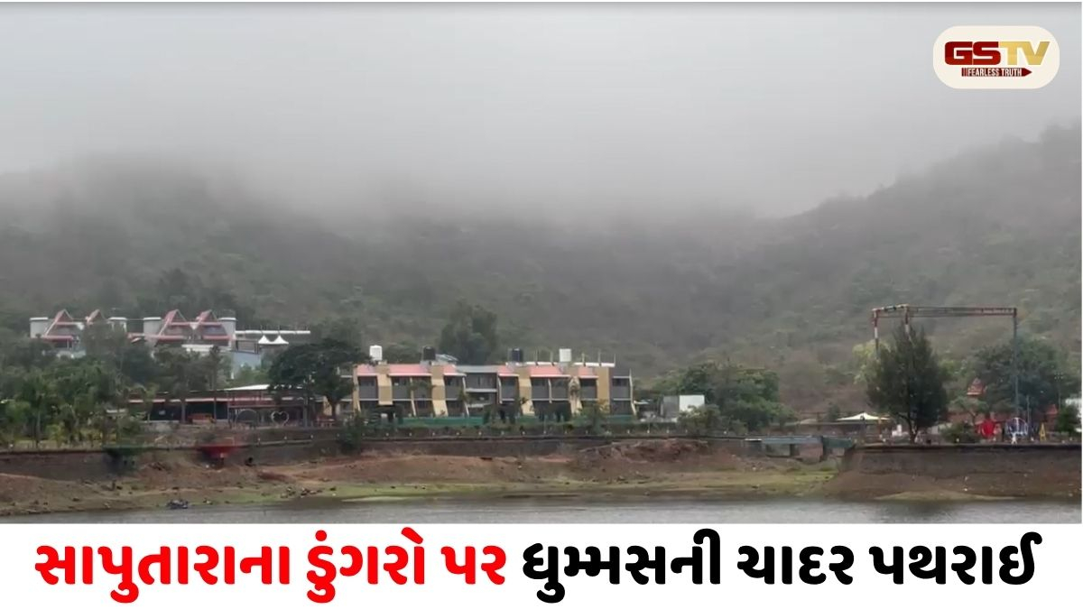 VIDEO/ સાપુતારામાં ચોમાસા જેવા માહોલથી પ્રવાસીઓ ખુશીથી ઝૂમી ઊઠ્યા