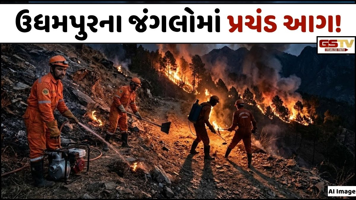 VIDEO: ANDAR NI VAAT/ જમ્મુ-કાશ્મીરમાં કુદરતનો પ્રકોપ! ઉધમપુરમાં કાળઝાળ ગરમી વચ્ચે જંગલોમાં ભભૂકી પ્રચંડ આગ