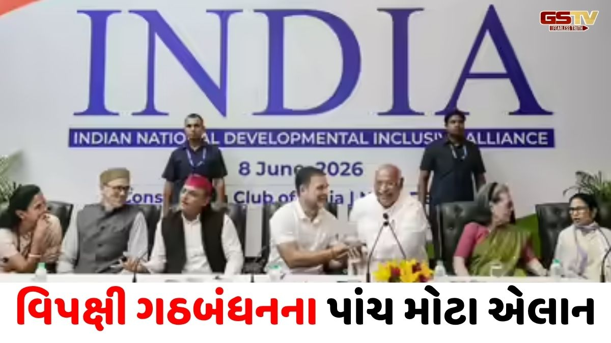 દિલ્હીમાં ઇન્ડિયા બ્લોકની મહત્ત્વની બેઠકમાં 25 પાર્ટીઓએ લીધો ભાગ, મીટિંગમાં લેવાયા આ 5 મોટા નિર્ણયો