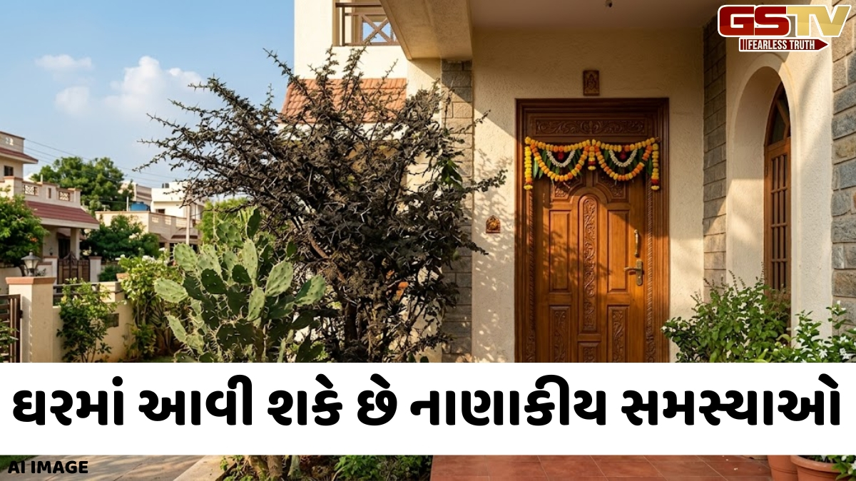 ક્યારેય ઘરના મુખ્ય દરવાજાની સામે ન રાખવા જોઈએ આ બે વૃક્ષો, તે ઘરમાં પેદા કરે છે વાસ્તુ દોષો