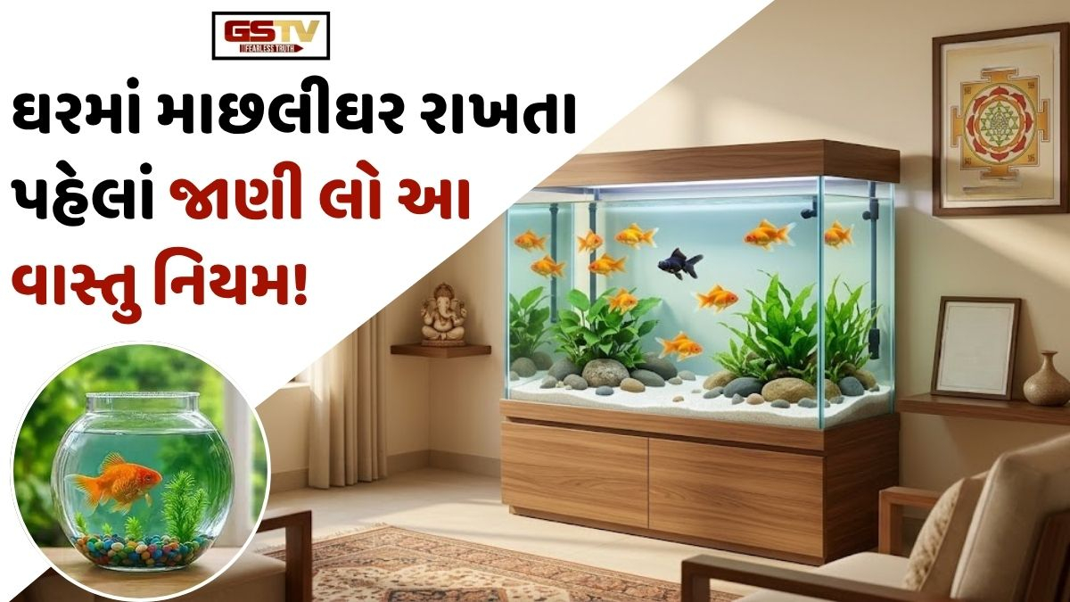 Vastu Tips: ઘરમાં માછલીઘર રાખતા પહેલાં જાણી લો આ ખાસ વાસ્તુ નિયમો, નહીંતર થઈ શકે છે મોટું નુકસાન!