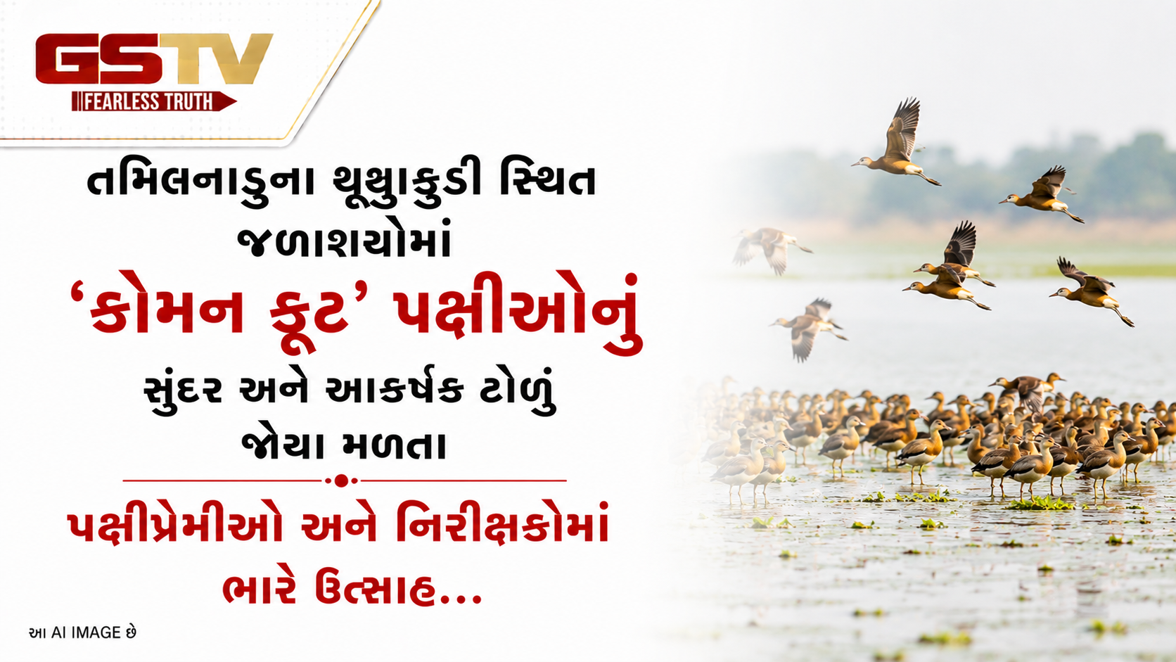 VIDEO: તમિલનાડુના થૂથુકુડી સ્થિત જળાશયોમાં 'કોમન કૂટ' પક્ષીઓનું સુંદર અને આકર્ષક ટોળું જોવા મળતા પક્ષીપ્રેમીઓ અને નિરીક્ષકોમાં ભારે ઉત્સાહ