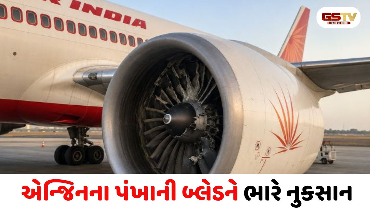 રાજકોટના હિરાસર એરપોર્ટ પર વિમાનના ટેકઓફ દરમિયાન બર્ડ હિટ, ફ્લાઈટનું ઈમરજન્સી લેન્ડિંગ