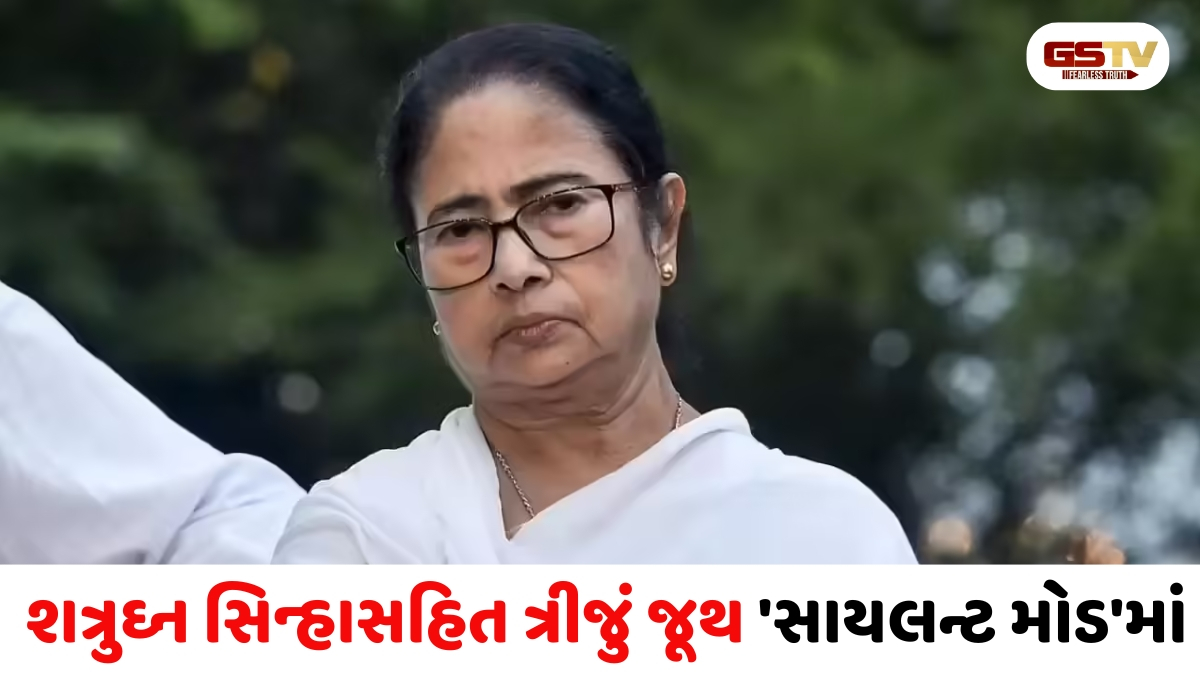 મમતા બેનરજીએ સત્તા ગુમાવતાં જ TMCમાં આંતરિક ડખા, 3 ટુકડામાં પાર્ટી વિખેરાઈ