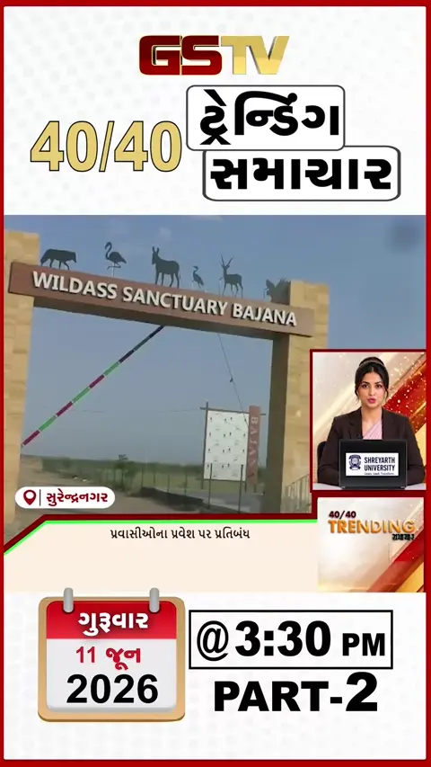 NEWS 40-40 : કચ્છનું ઘૂડખર અભ્યારણ 4 મહિના માટે બંધ, મોરબીમાં બેફામ કારનો કહેર