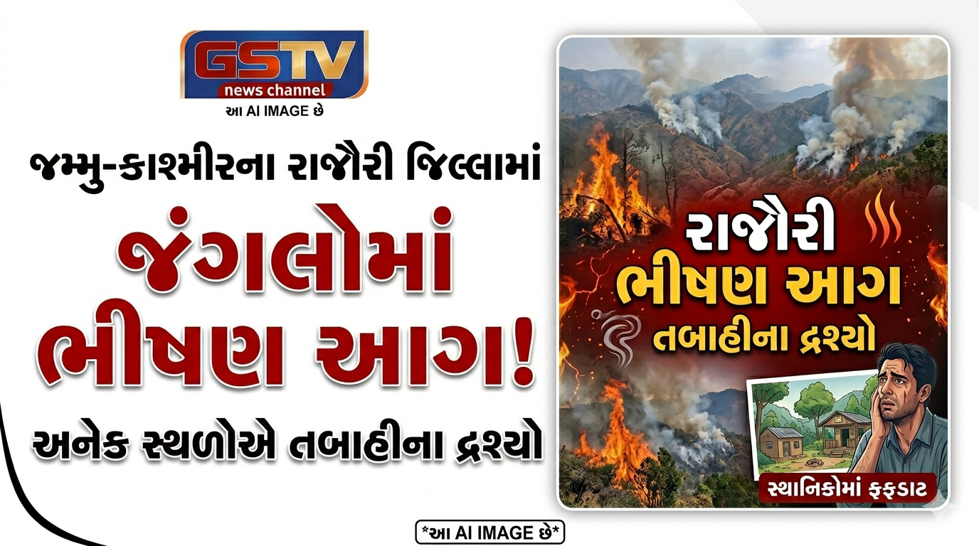 VIDEO: જમ્મુ-કાશ્મીરના રાજૌરી જિલ્લામાં અનેક સ્થળોએ જંગલોમાં ભીષણ આગ