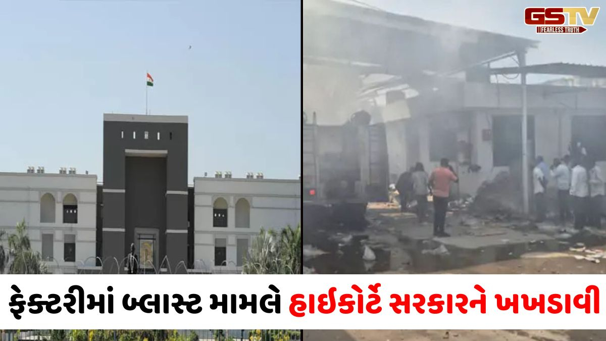 Ahmedabad news: 'તમે કોર્ટની આંખોમાં ધૂળ નાખી રહ્યા છો', ડીસામાં ફટાકડા ફેક્ટરીમાં બ્લાસ્ટ મામલે હાઈકોર્ટ લાલઘૂમ