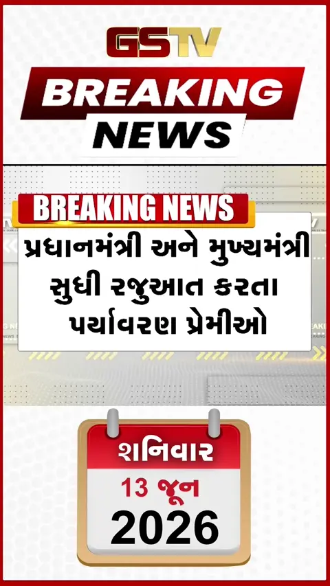VIDEO Breaking : Amreli ગીરના જંગલની સુરક્ષાને લઈને વિવાદ, પ્રધાનમંત્રી સુધી પહોંચી ફરિયાદ