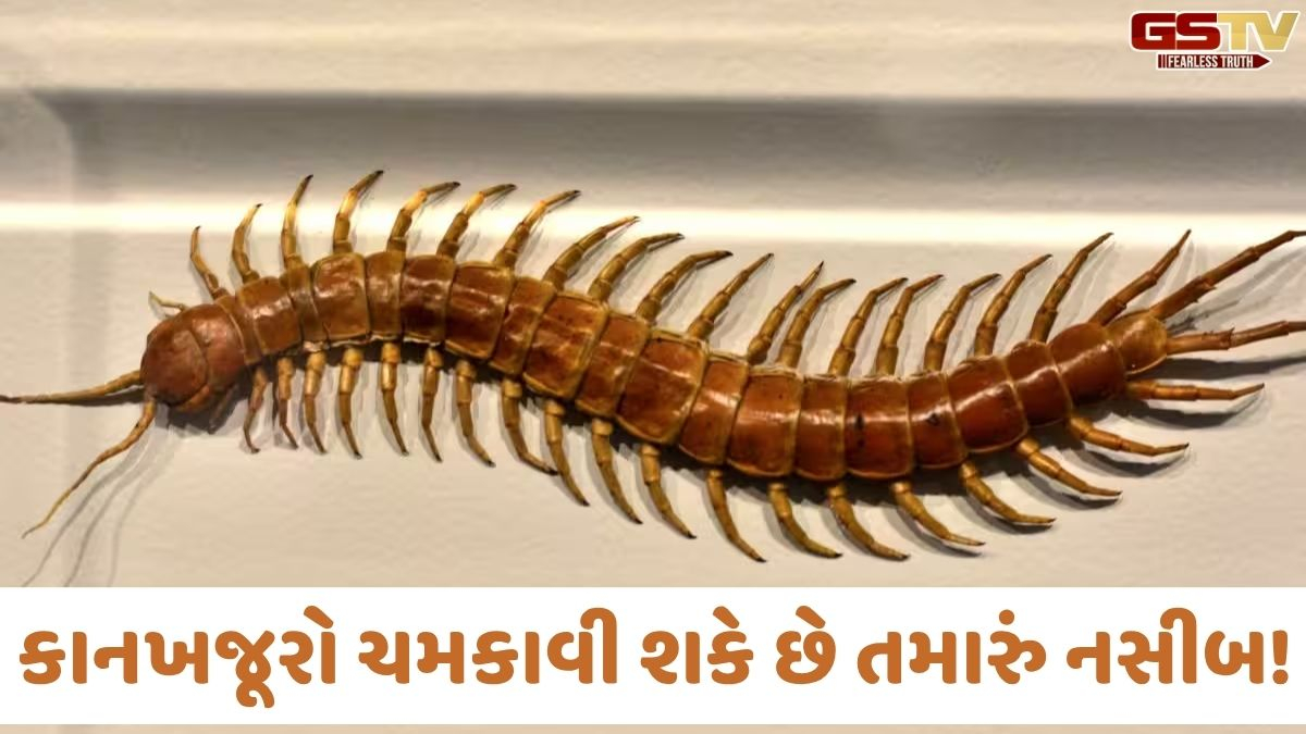 Religion: કાનખજૂરો ચમકાવી શકે છે તમારું નસીબ! જાણો કઈ દિશામાં તેનું દેખાવું માનવામાં આવે છે વરદાન