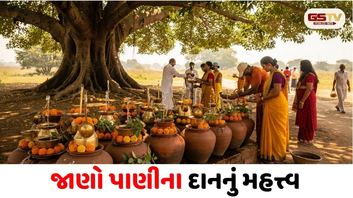 Religion/ નિર્જળા એકાદશી 25 જૂને: જાણો પાણીના દાનનું મહત્ત્વ અને ખાસ નિયમો