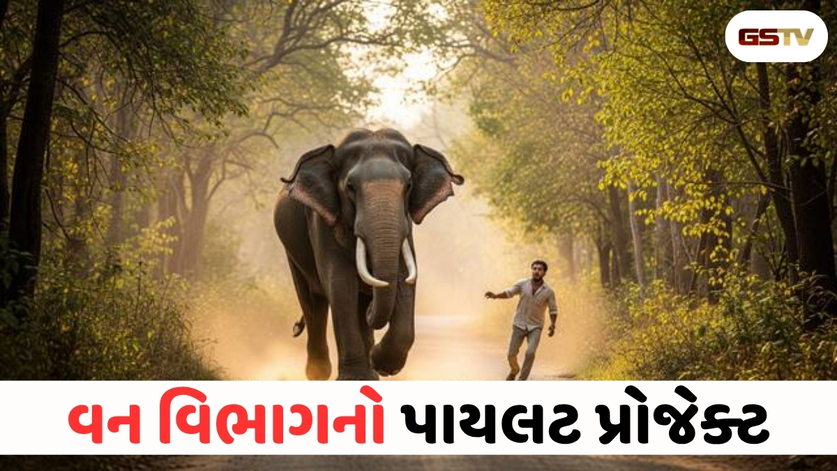 VIDEO : ANDARNI VAAT/ ટેક્નોલોજીથી ઉકેલાશે મહાકાય સમસ્યા: જંગલોમાં હવે ડ્રોન રાખશે હાથીઓ પર નજર