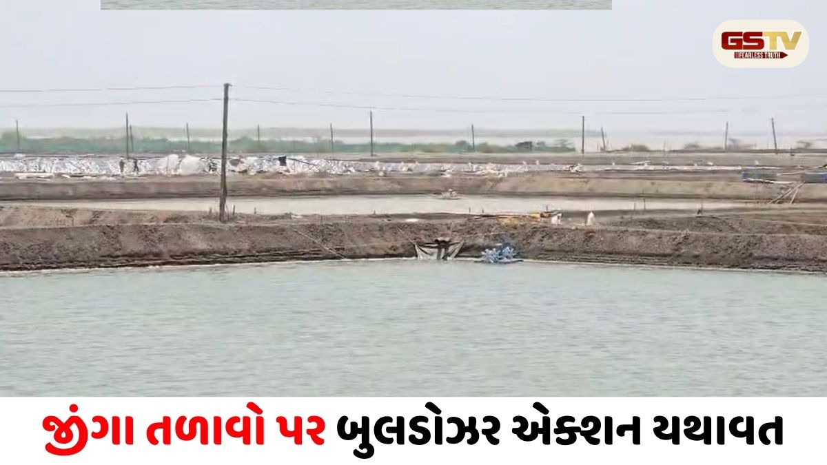VIDEO/ સરકારી જમીન પર ગેરકાયદે જીંગા તળાવો પર બુલડોઝર એક્શન યથાવત