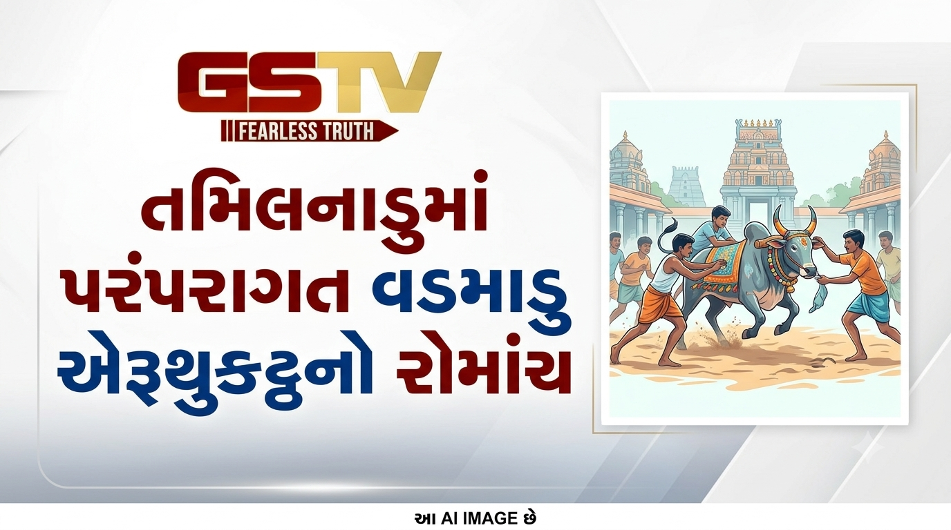 VIDEO: તમિલનાડુમાં પરંપરાગત વડમાડુ એરુથુકટ્ટુનો રોમાંચ