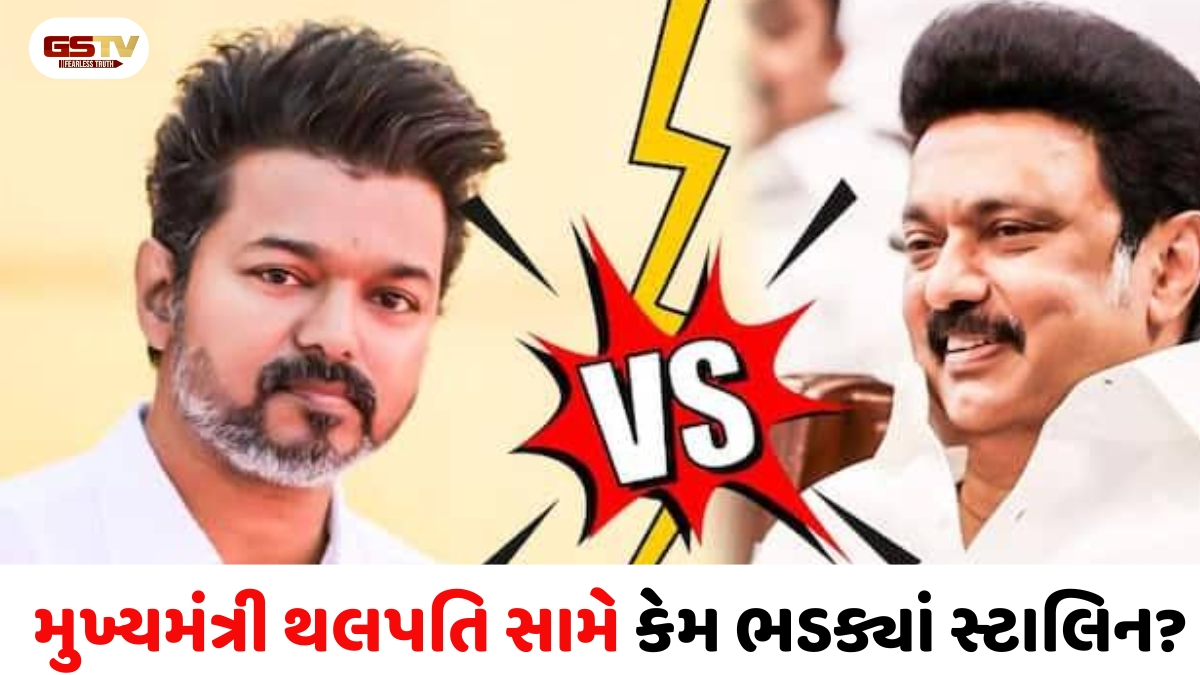 વિજયની TVK પણ ભાજપની ઝેરોક્ષ કોપી, પૂર્વ CMનો થલપતિ વિજય પર આકરો પ્રહાર